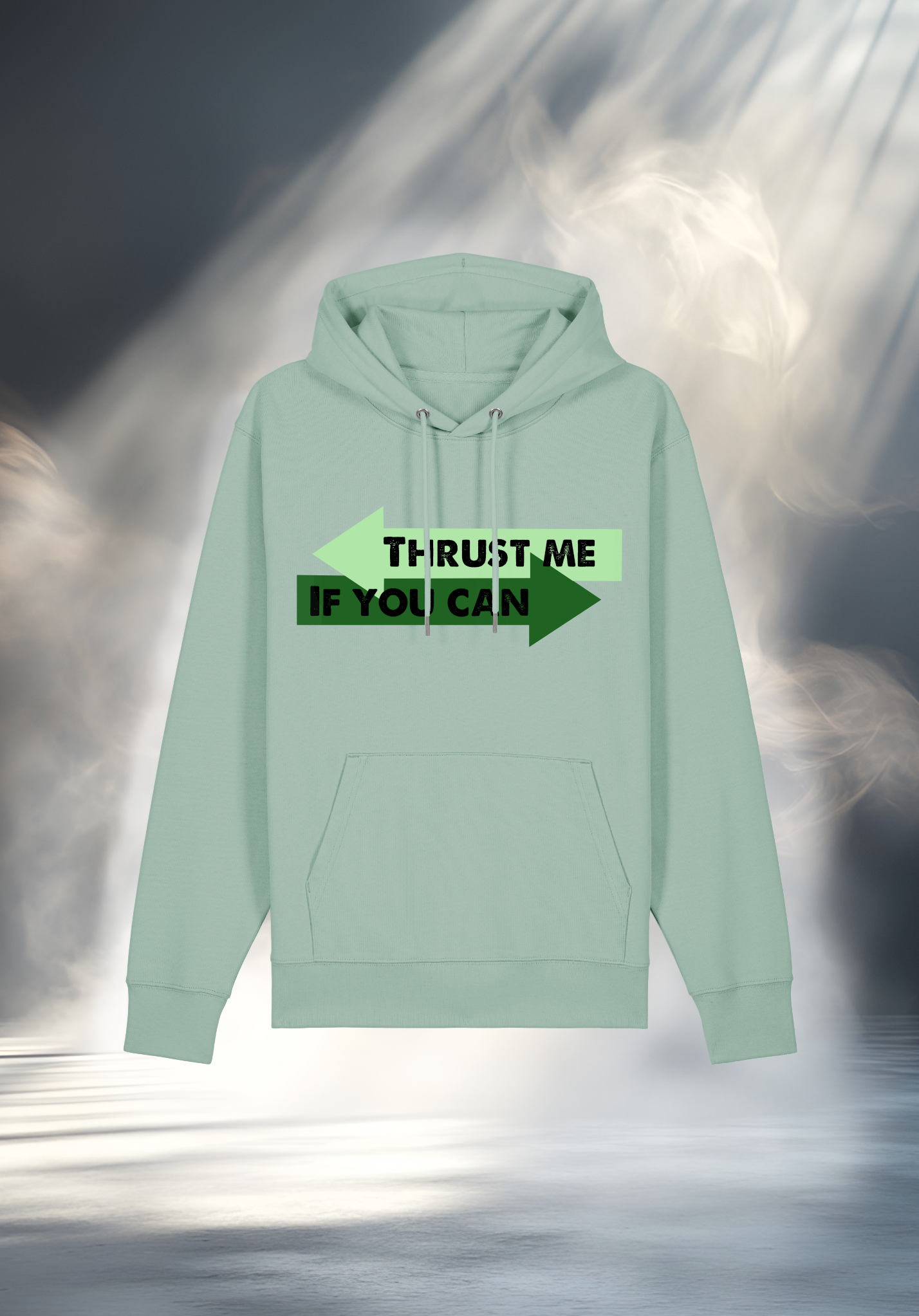 Hoodie - THRUST ME IF YOU CAN