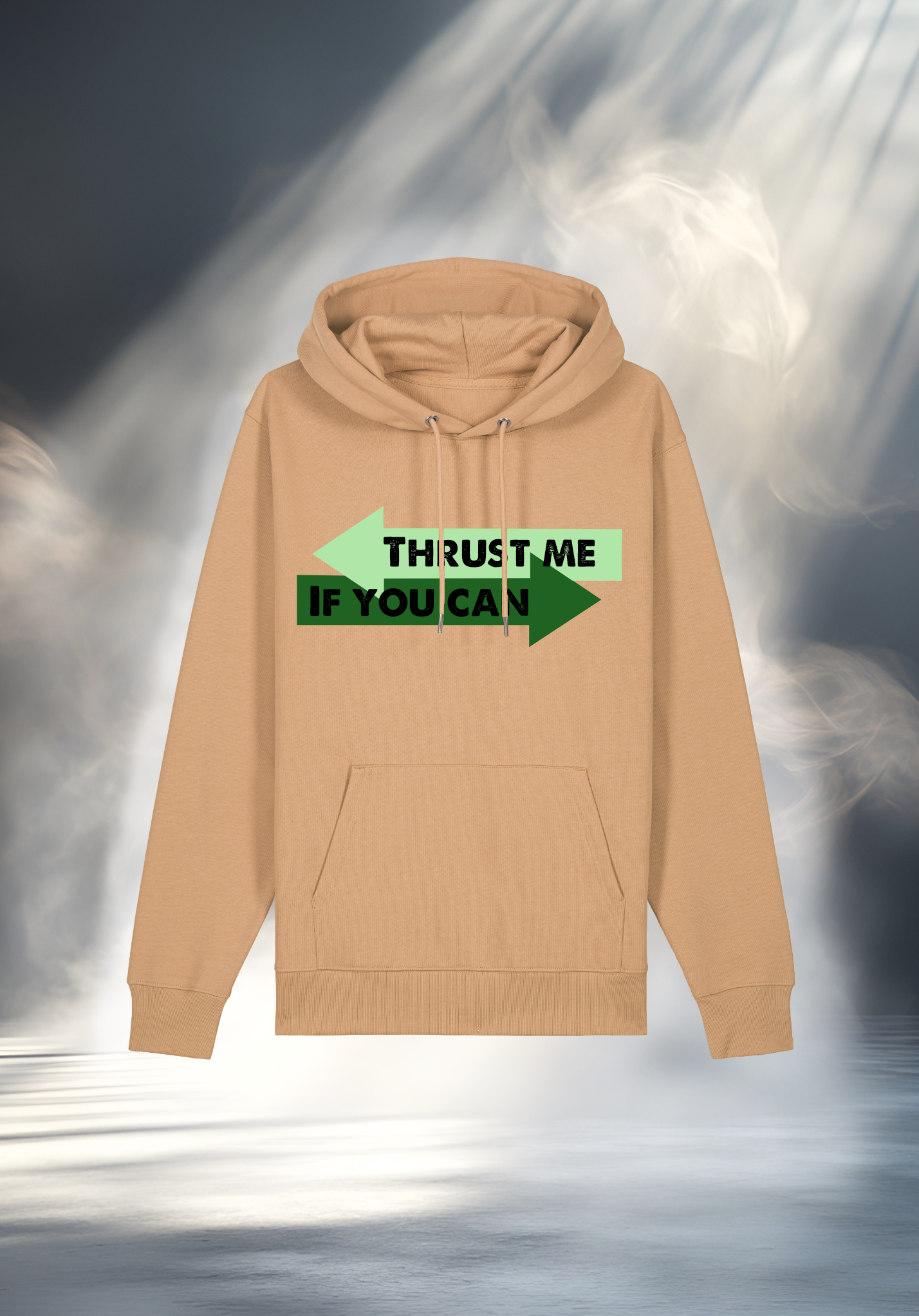 Hoodie - THRUST ME IF YOU CAN